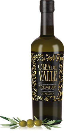 500ml Premium Bottle